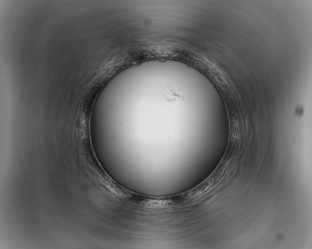 X0000098030465200804181233