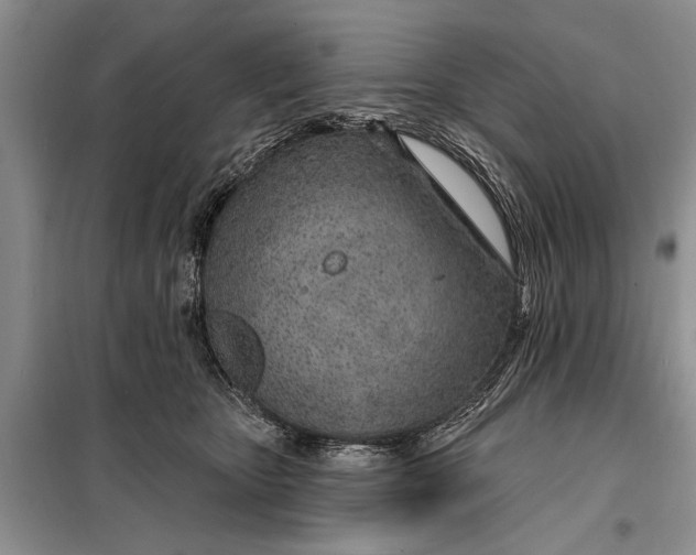 X0000098030467200804181233