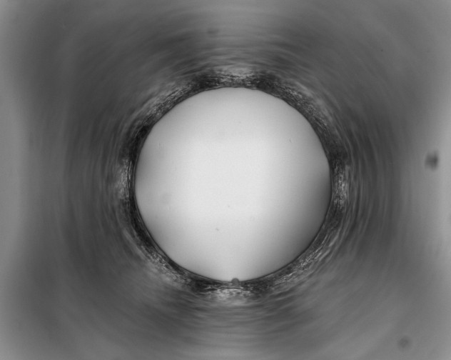 X0000098030468200804181233