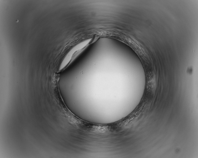 X0000098030469200804181233