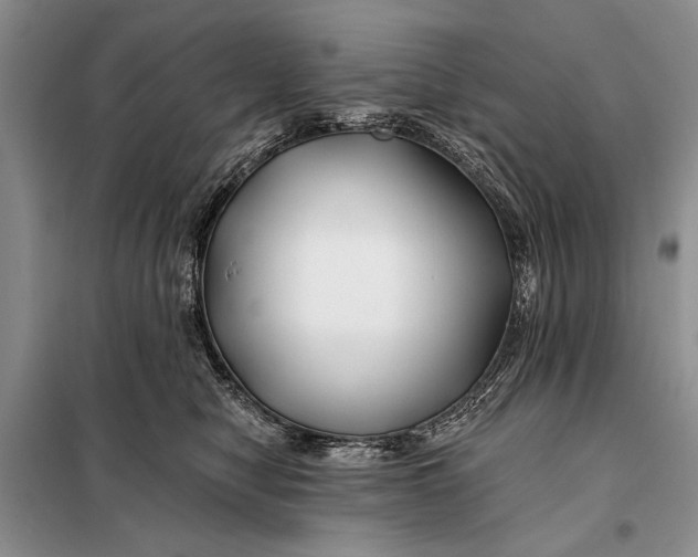 X0000098030470200804181233