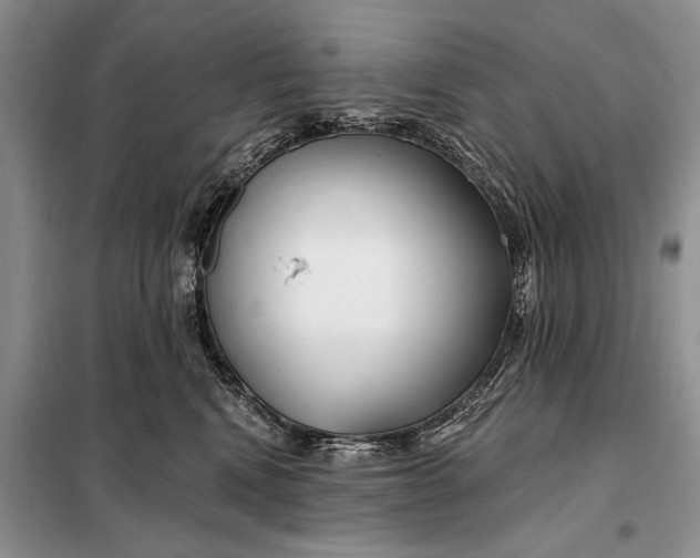 X0000098030472200804181234