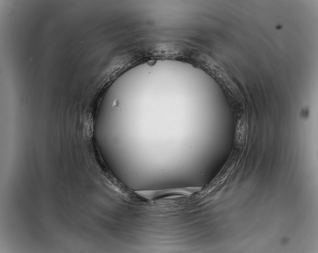 X0000098030474200804181234