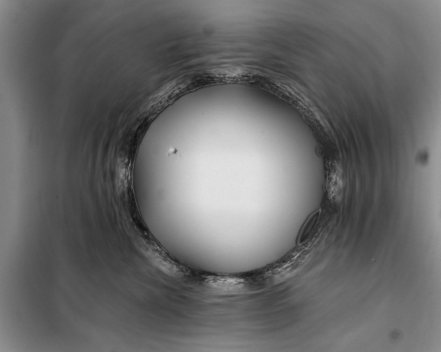 X0000098030476200804181234