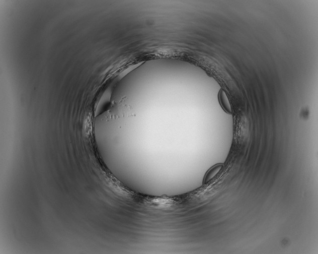 X0000098030478200804181234