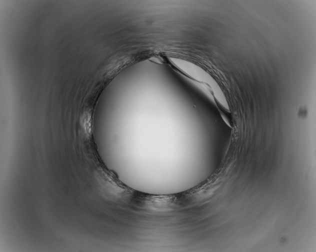 X0000098030479200804181234