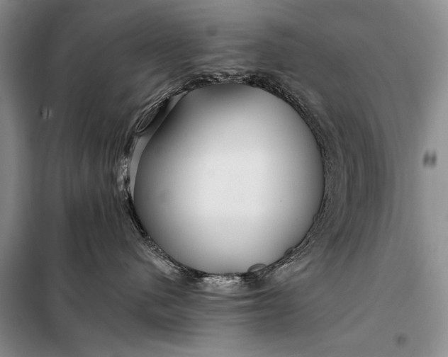 X0000098030480200804181234