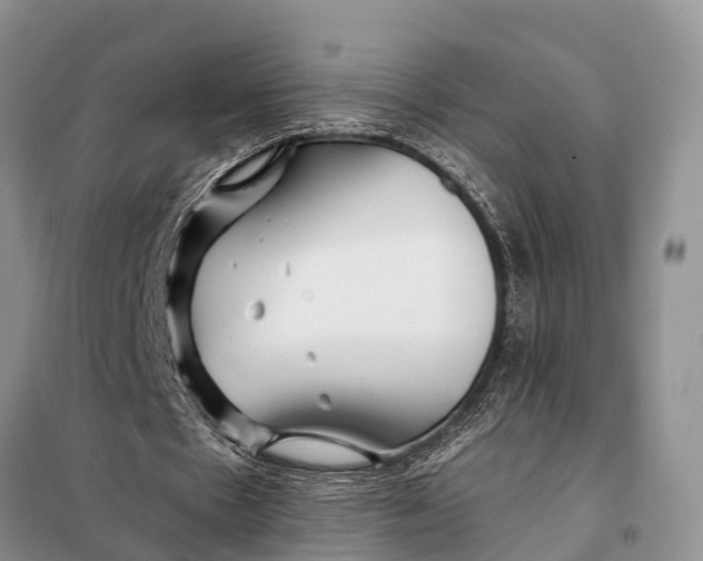 X0000098030481200804181233