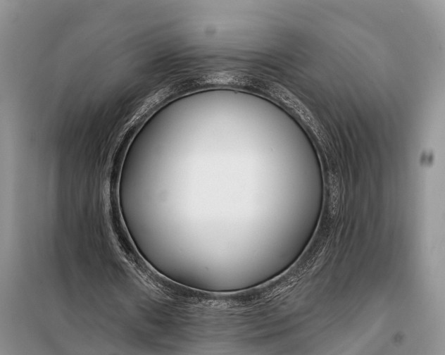 X0000098030482200804181233