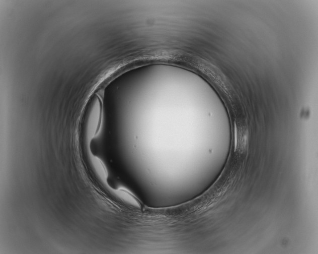 X0000098030483200804181233