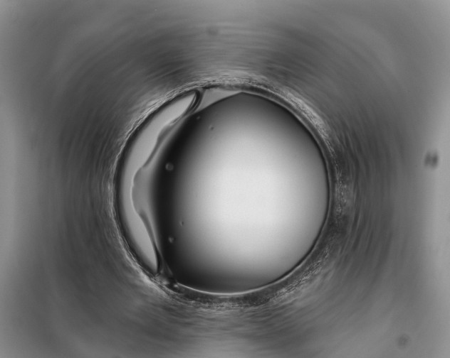 X0000098030485200804181233