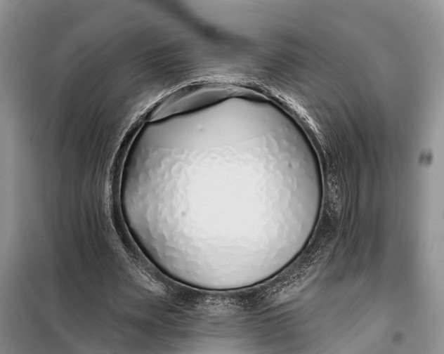 X0000098030487200804181233