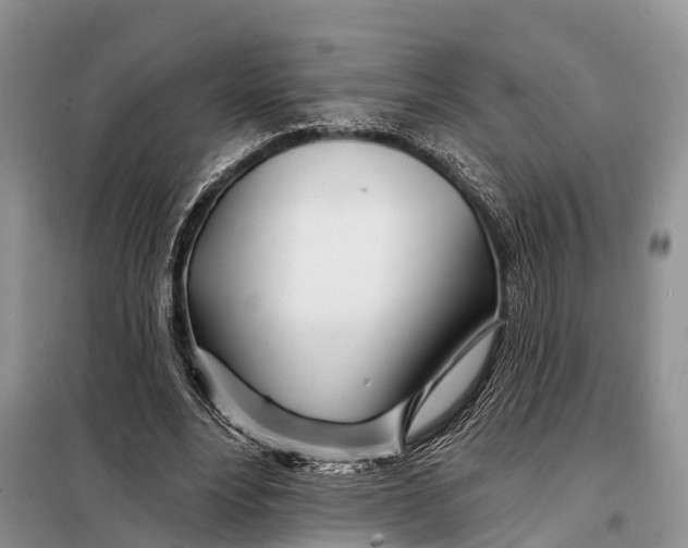 X0000098030488200804181233