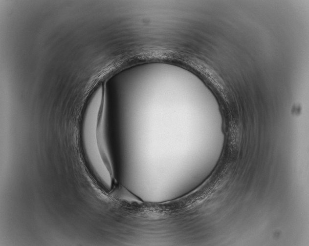 X0000098030489200804181233