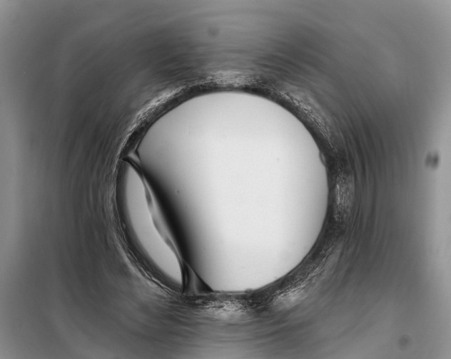 X0000098030492200804181233