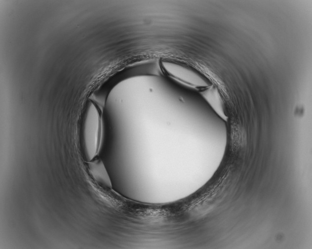 X0000098030493200804181233