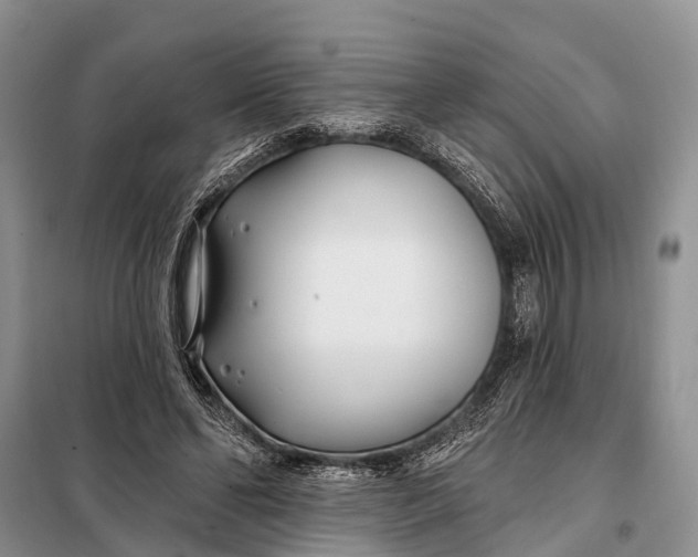 X0000098030494200804181233