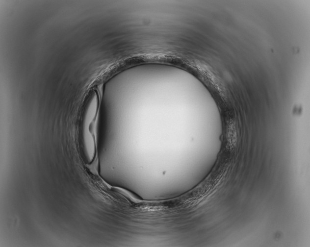 X0000098030495200804181233