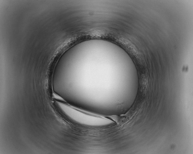 X0000098030496200804181233