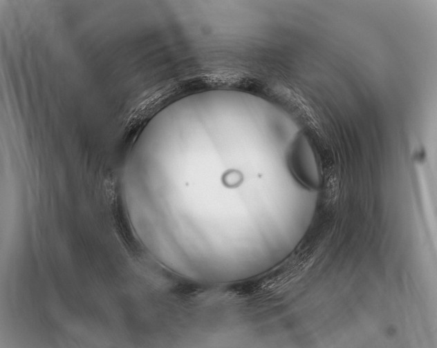 X0000098030498200804181233