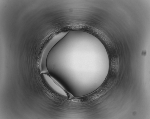 X0000098030501200804181233