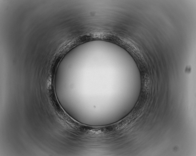 X0000098030502200804181233