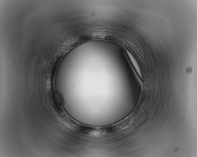 X0000098030504200804181232