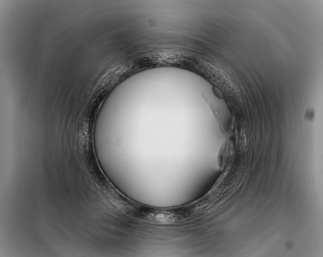 X0000098030506200804181232