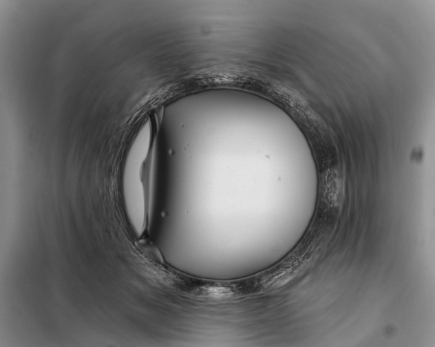 X0000098030509200804181232