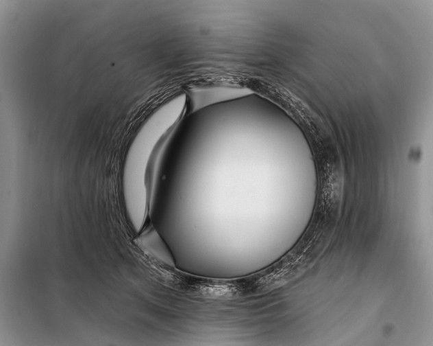 X0000098030513200804181232