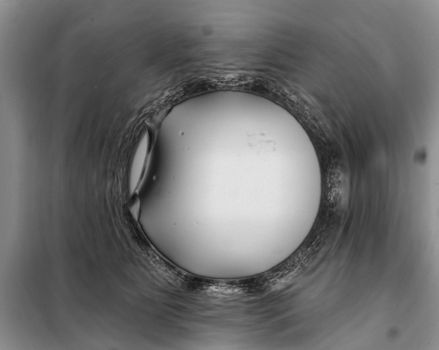 X0000098030515200804181232