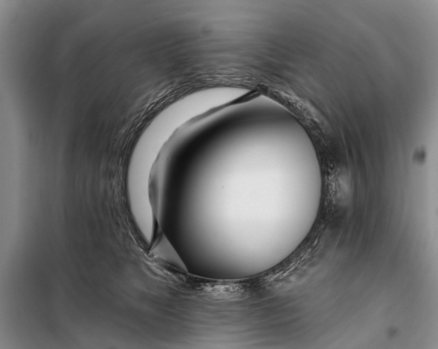 X0000098030517200804181232