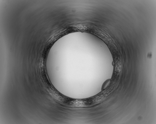 X0000098030518200804181232