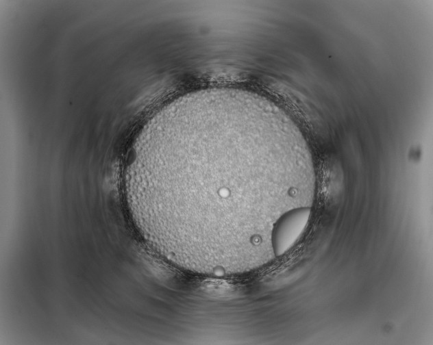 X0000098030519200804181232