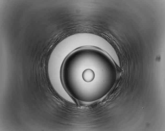 X0000098030520200804181232