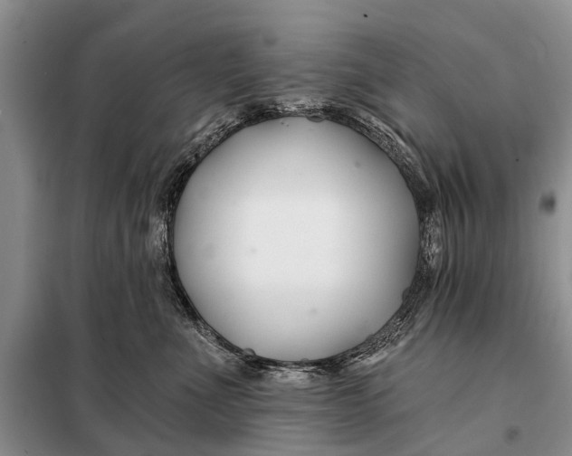 X0000098030523200804181232