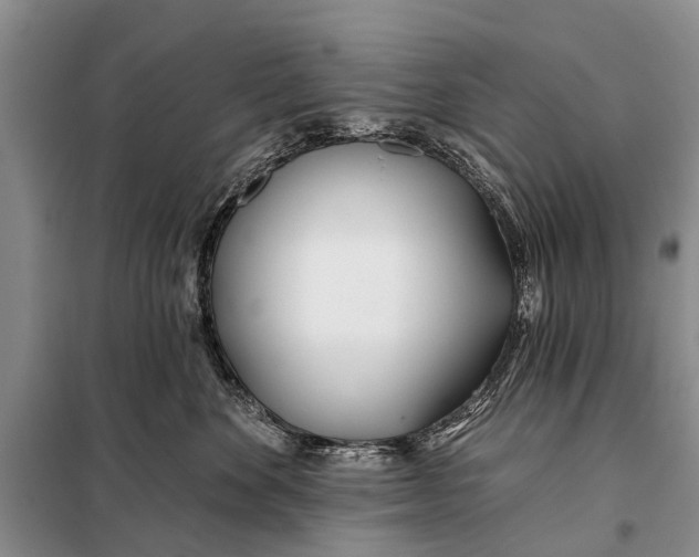 X0000098030524200804181232