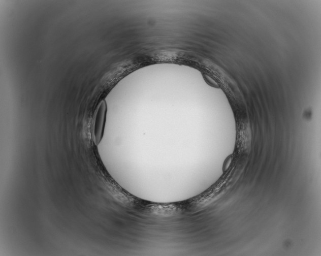 X0000098030525200804181232