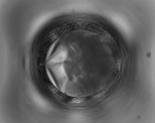 X0000098030526200804181232