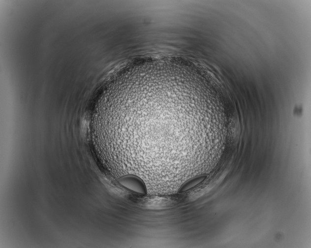 X0000098030527200804181232