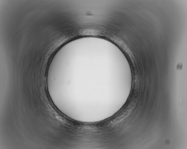 X0000098030529200804181231