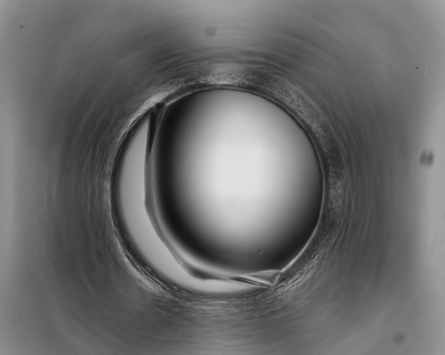 X0000098030530200804181231