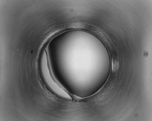 X0000098030531200804181231