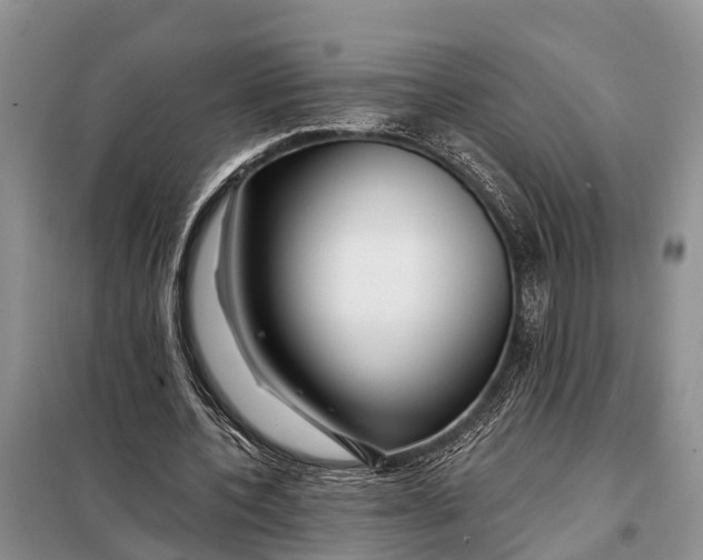 X0000098030532200804181231