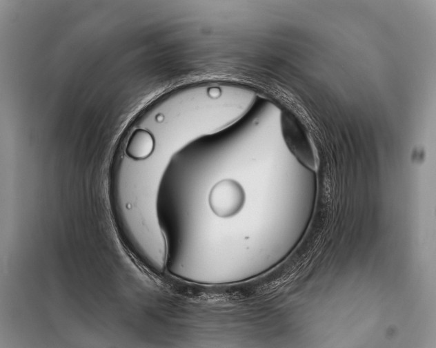 X0000098030534200804181231