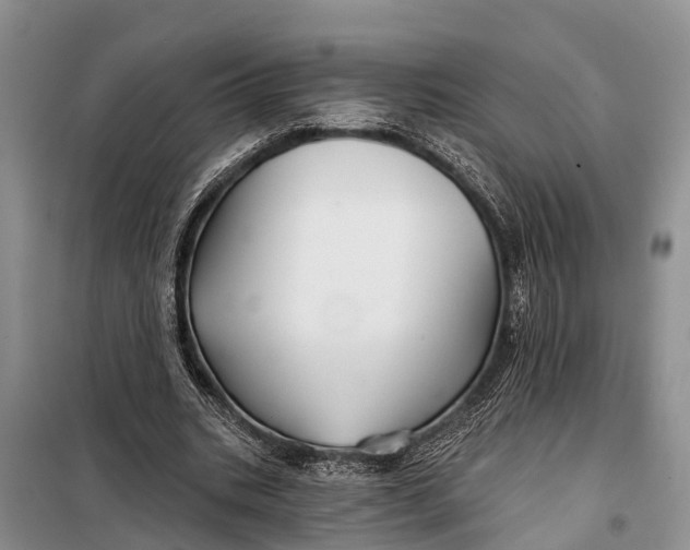 X0000098030535200804181231