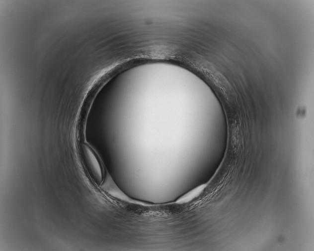 X0000098030536200804181231