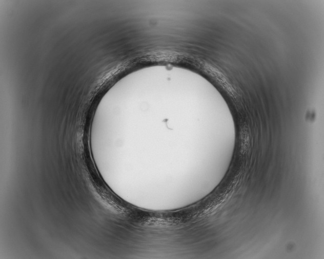 X0000098030538200804181231