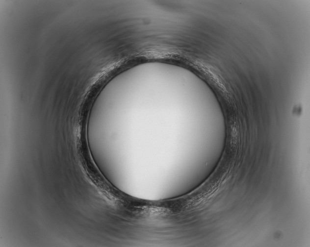 X0000098030539200804181231