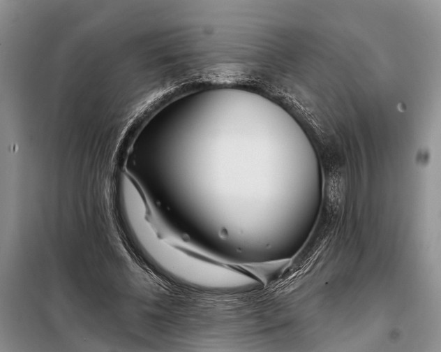 X0000098030540200804181231